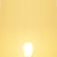 E14 LED Filament Bulb, G45 470Lm 2700K